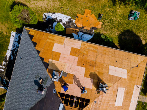 Best Roof Maintenance Services  in Calverton, NY